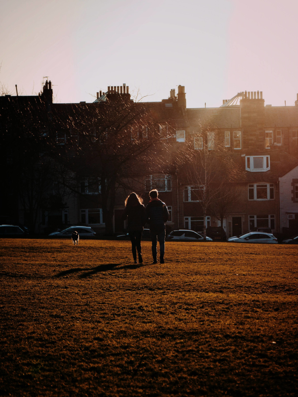 Sunset Walk in the Park