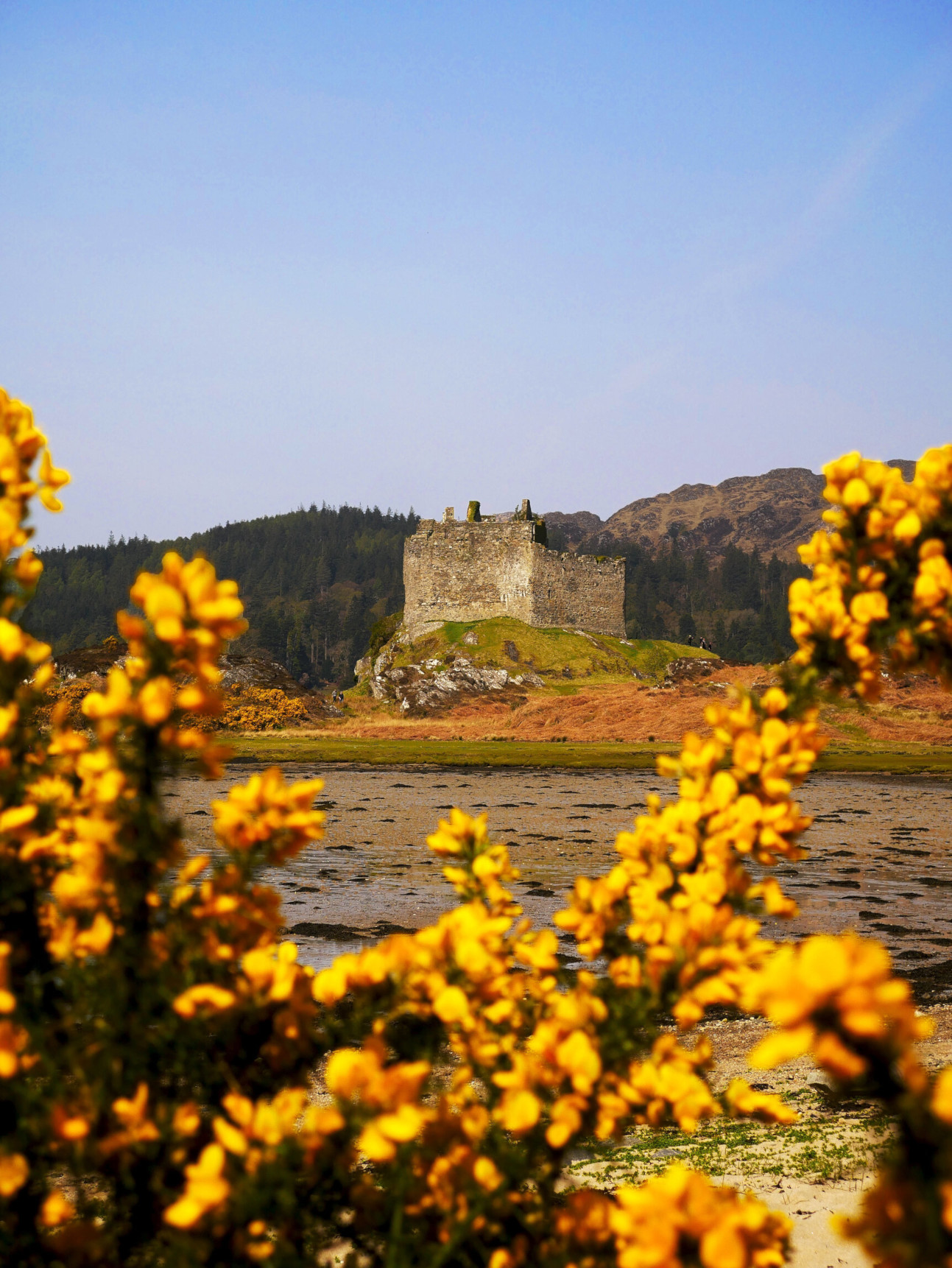 Castle Tioram