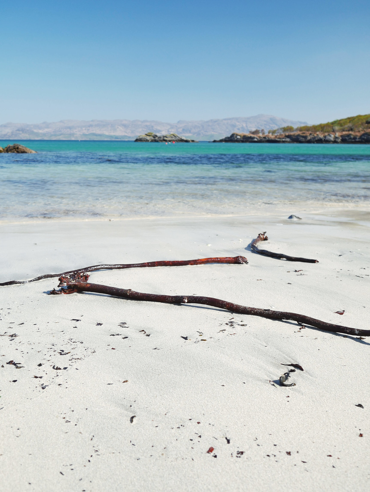 Beach Sticks