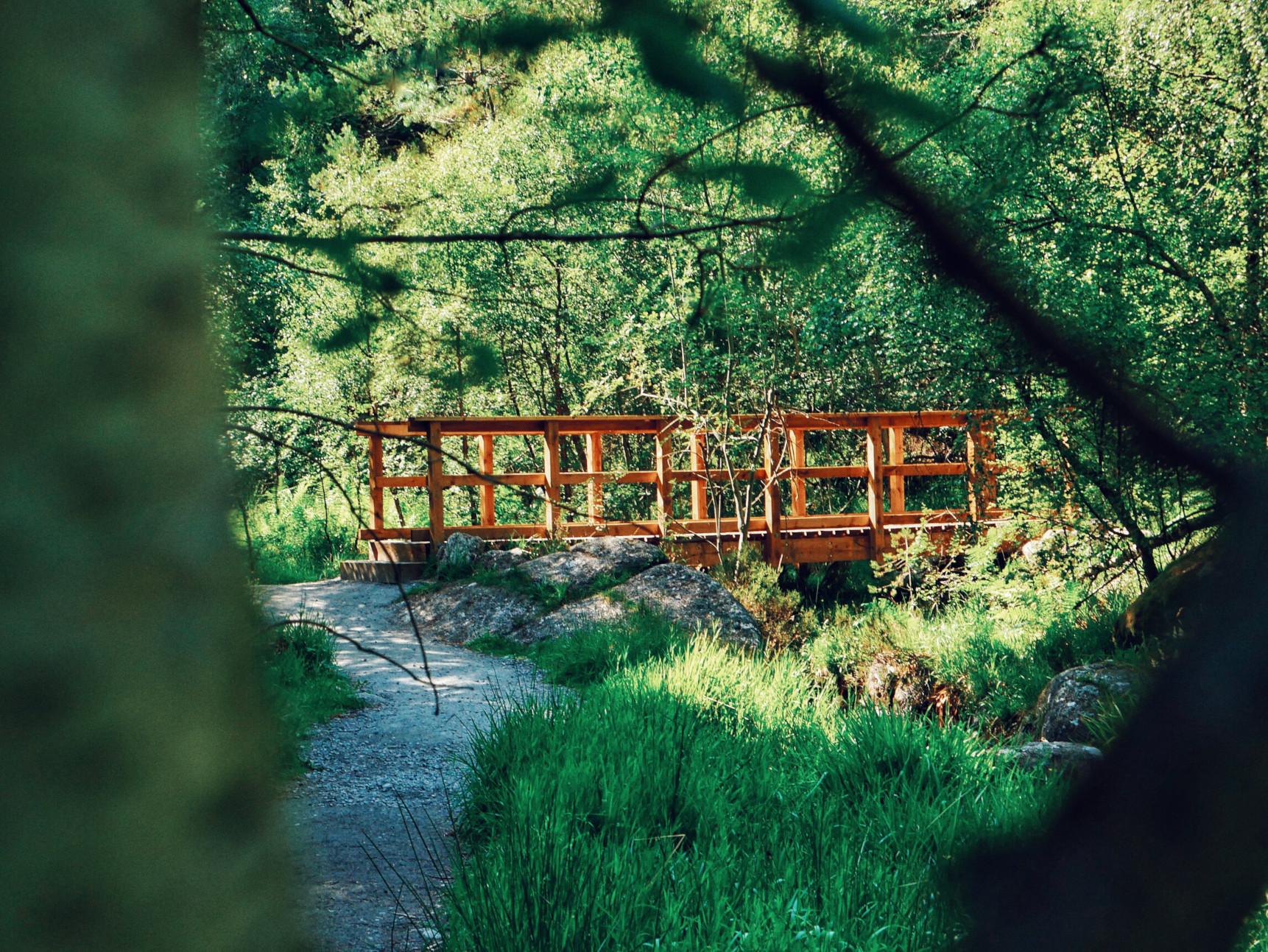 Burn o Vat Wooden Bridge