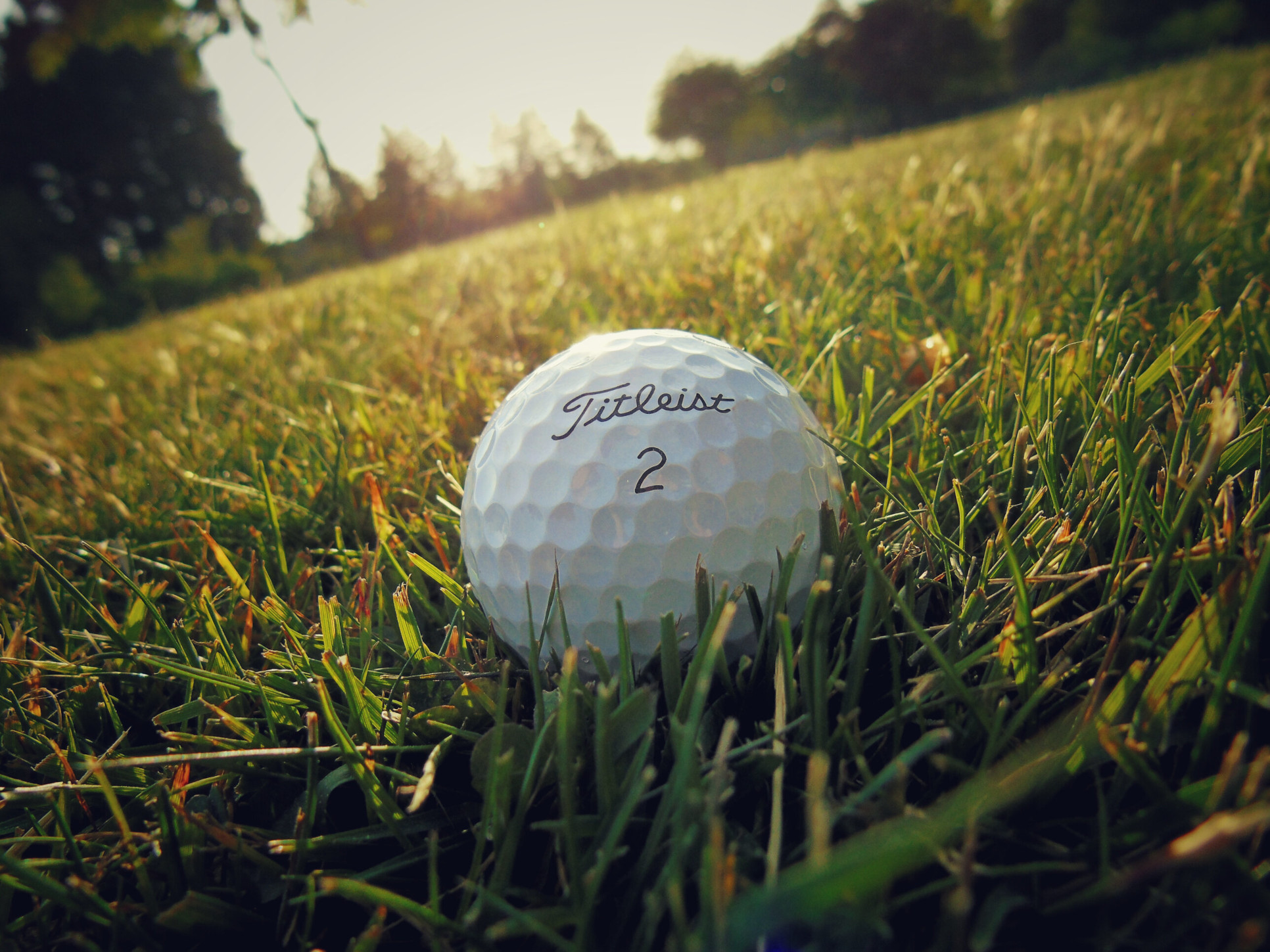 Golf Ball