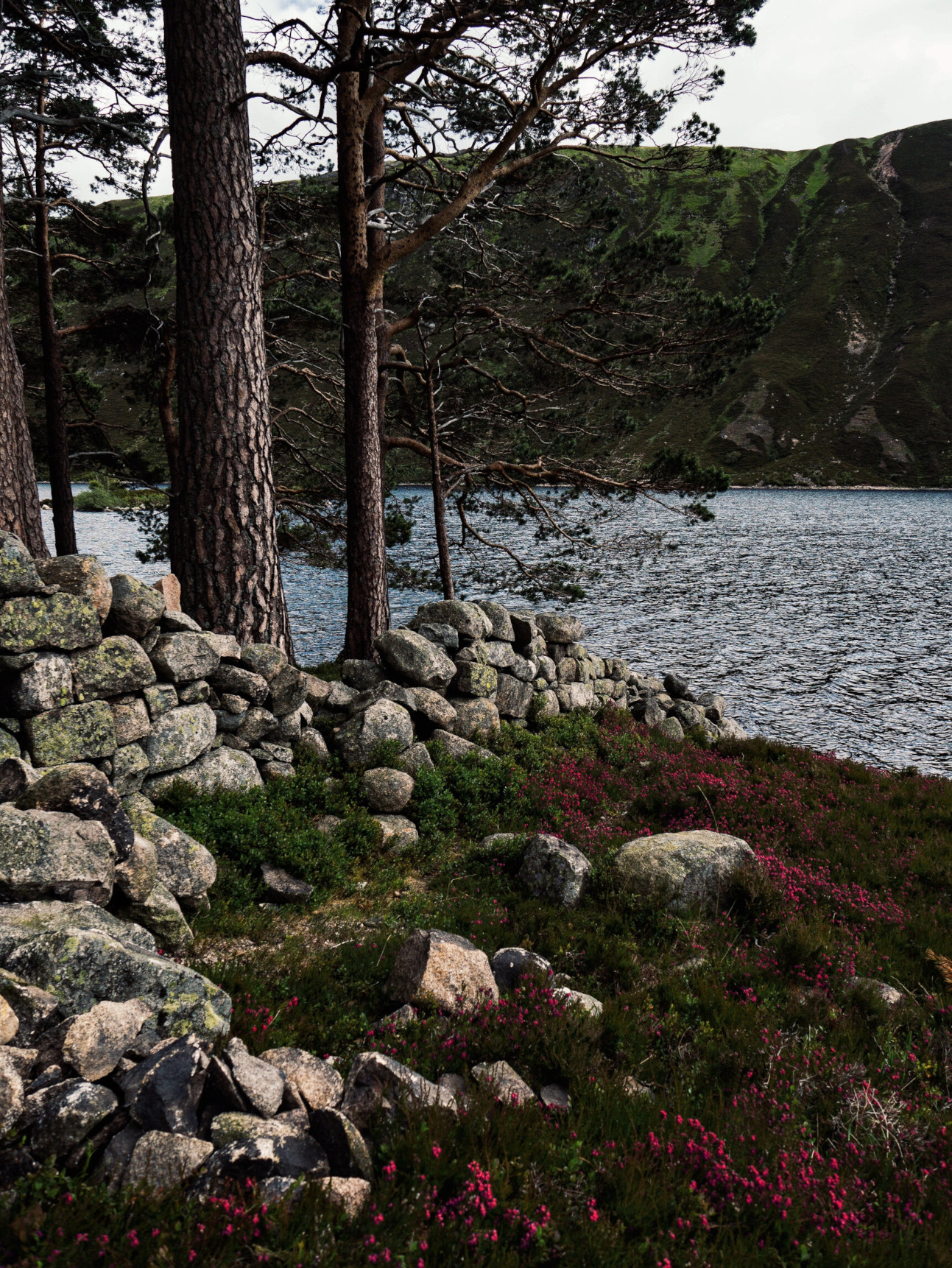 Loch Muick Ston Wall