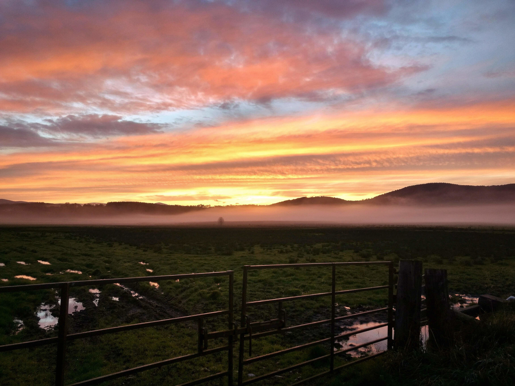 Lumphanan Sunrise Fields