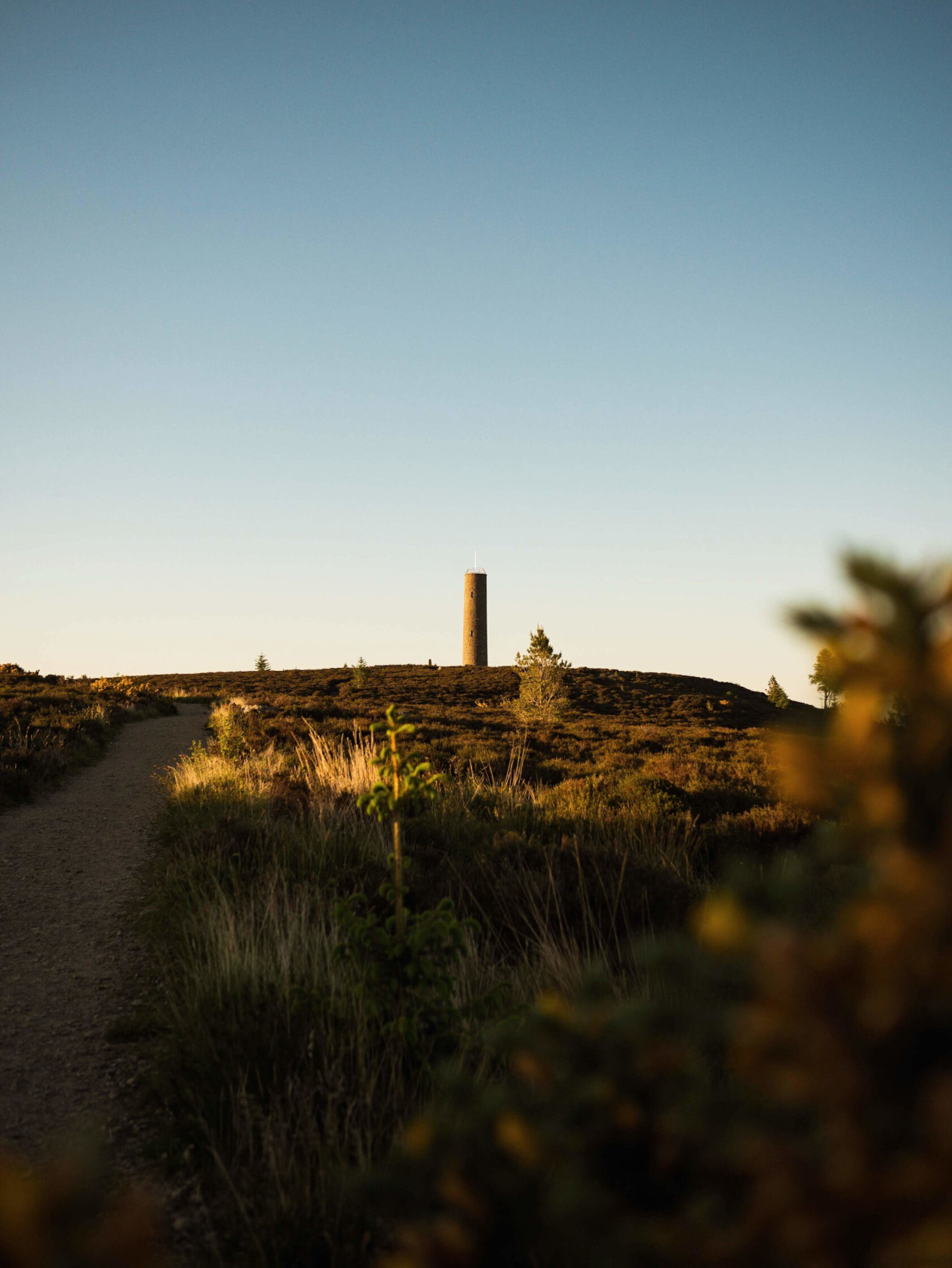 Scolty Hill Sunset