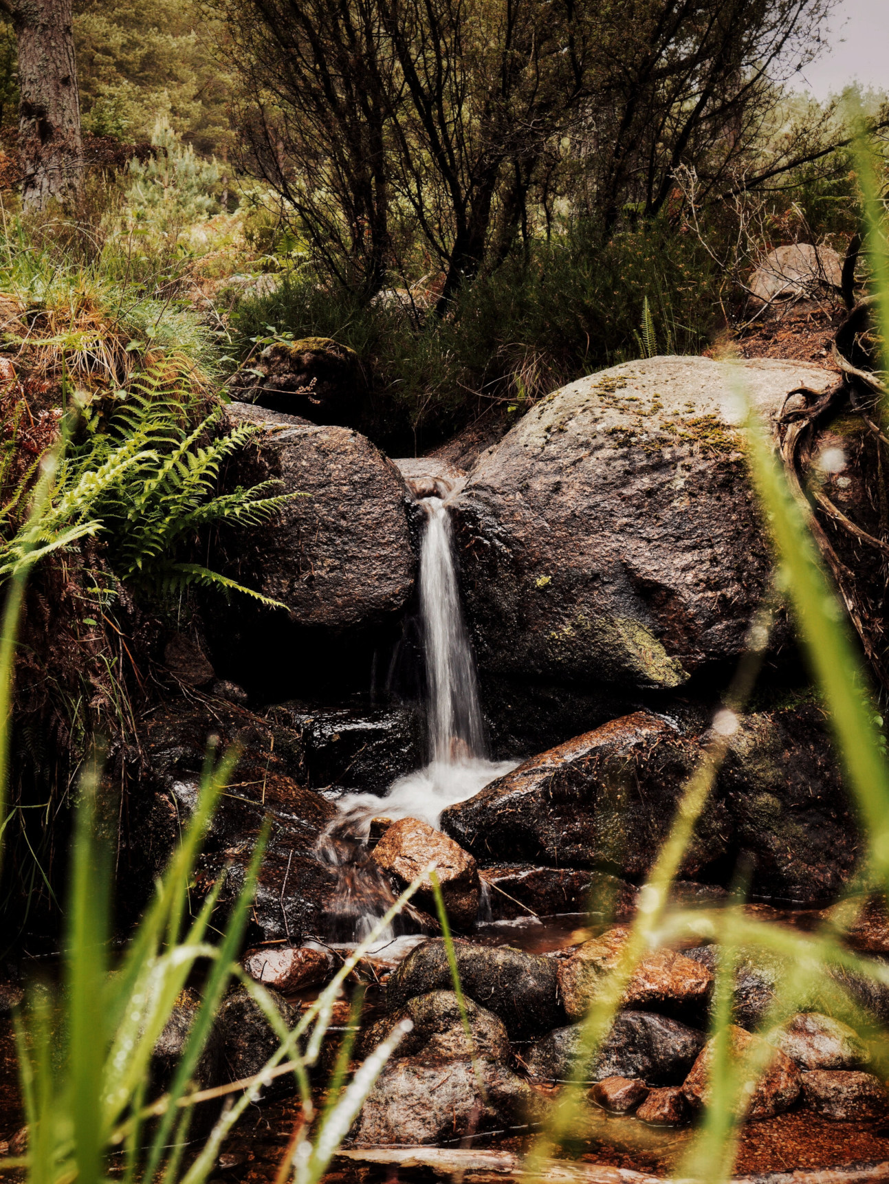 Waterfall